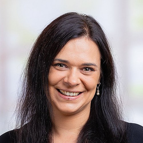 Johanna Pauli, Einkauf Dichtungen